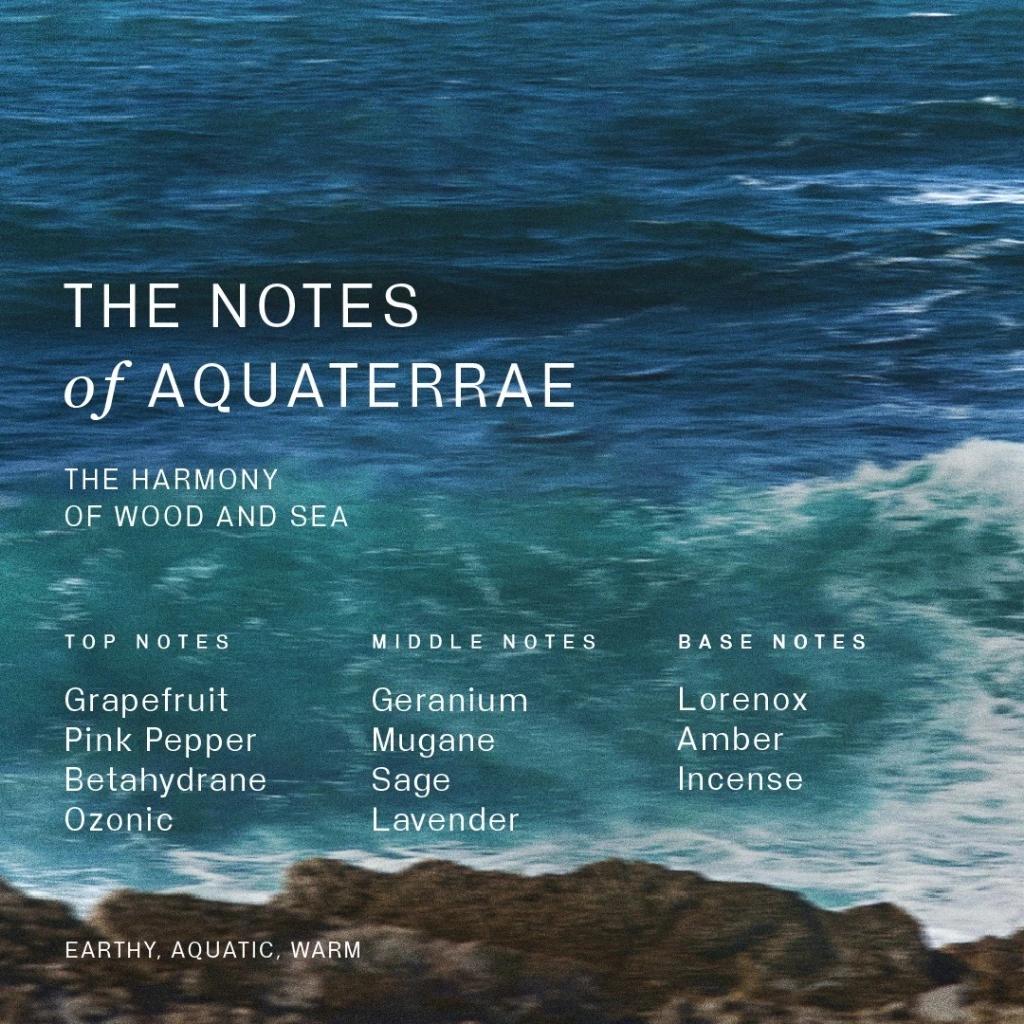 Kahf Aquaterrae Extrait de Parfum 50 ml - Oracle Series - Parfum Tahan Lama Aroma Spices Aquatic