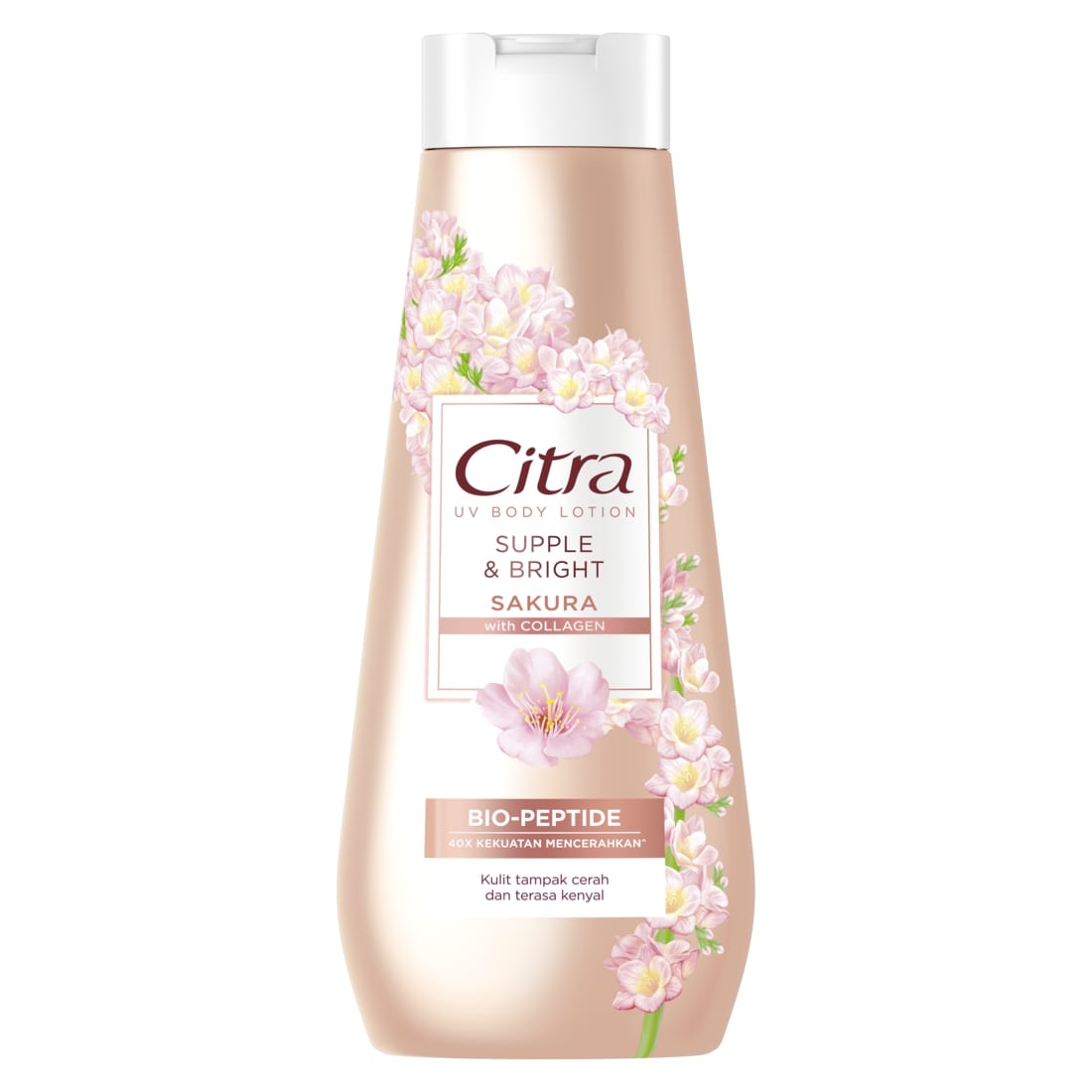 Citra UV Body Lotion Supple & Bright Sakura 210ML - Mencerahkan dan Kenyal