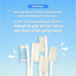 Ciptadent Sikat Gigi SINGLE Card Crystal / Diamond Clean SOFT