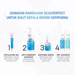 ERHAIR Scalperfect Kaolin & Peopermint Dry Shampoo - Anti Lepek Tanpa Bilas | Atasi Kulit Kepala Berminyak | Anti ketombe | Antibacterial