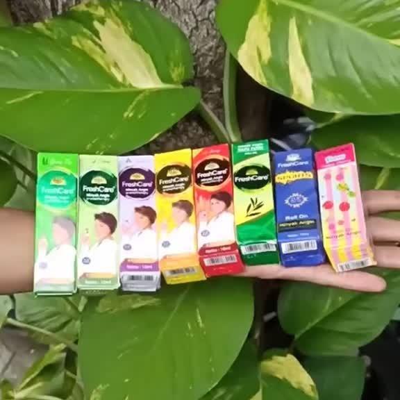 FreshCare Strong Aromatherapy Roll On – Extra Cooling Herbal Oil for Headache & Dizziness Relief | 10ml