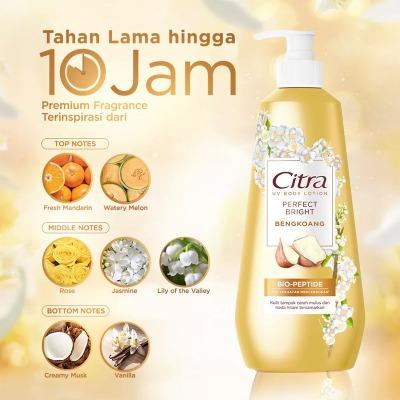 Citra Perfect Bright UV Body Lotion 380ml – Bengkoang Extract for Naturally Radiant, Even-Toned Skin