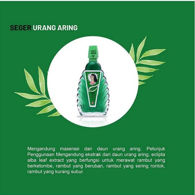 Seger Snow Urang Aring Hair Oil 50ml – Hair Growth & Nourishing Oil (Halal, BPOM Certified)