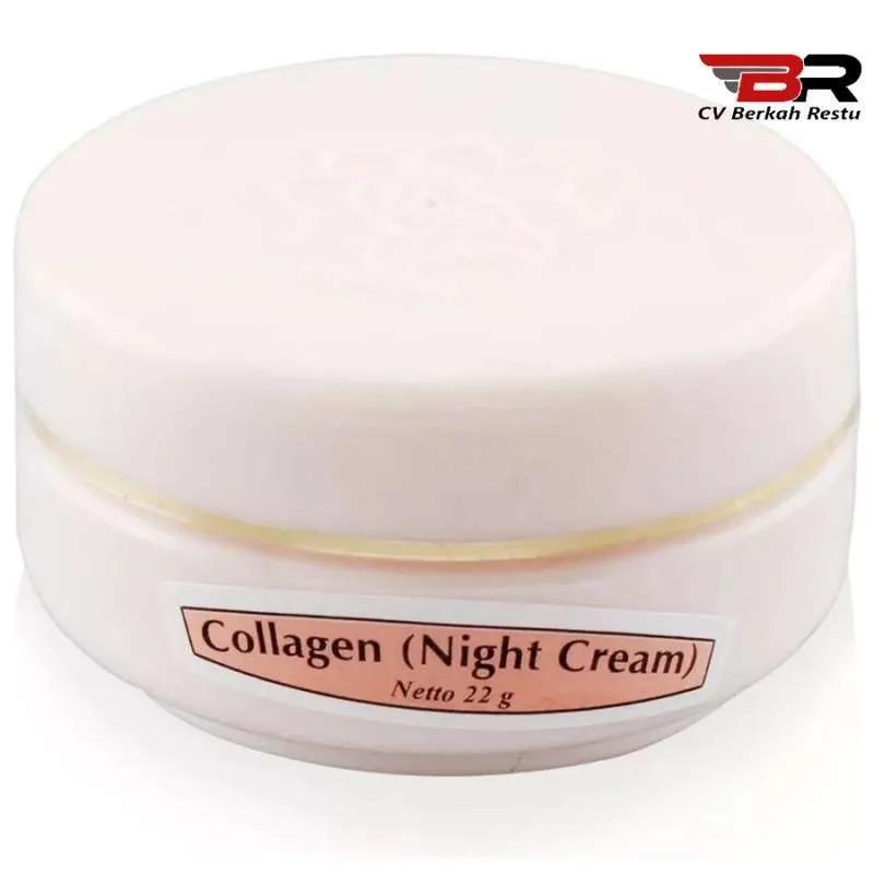 Viva Collagen Night Cream 22g - Enriched with Collagen Vitamin A & F for Enhanced Skin Elasticity and Cell Renewal