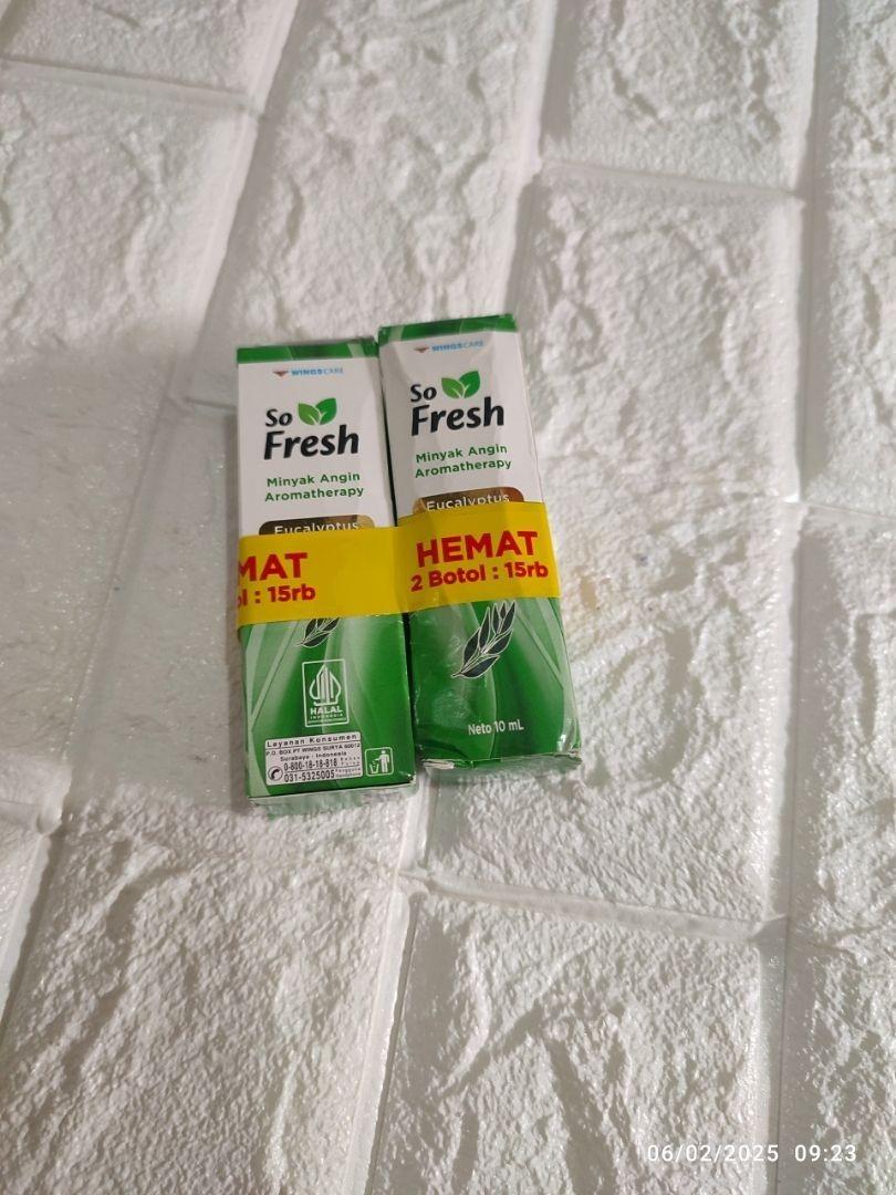 So Fresh Aromatherapy Oil Hot – 2x10ml Herbal Roll-On for Muscle Pain, Headache & Relaxation Relief