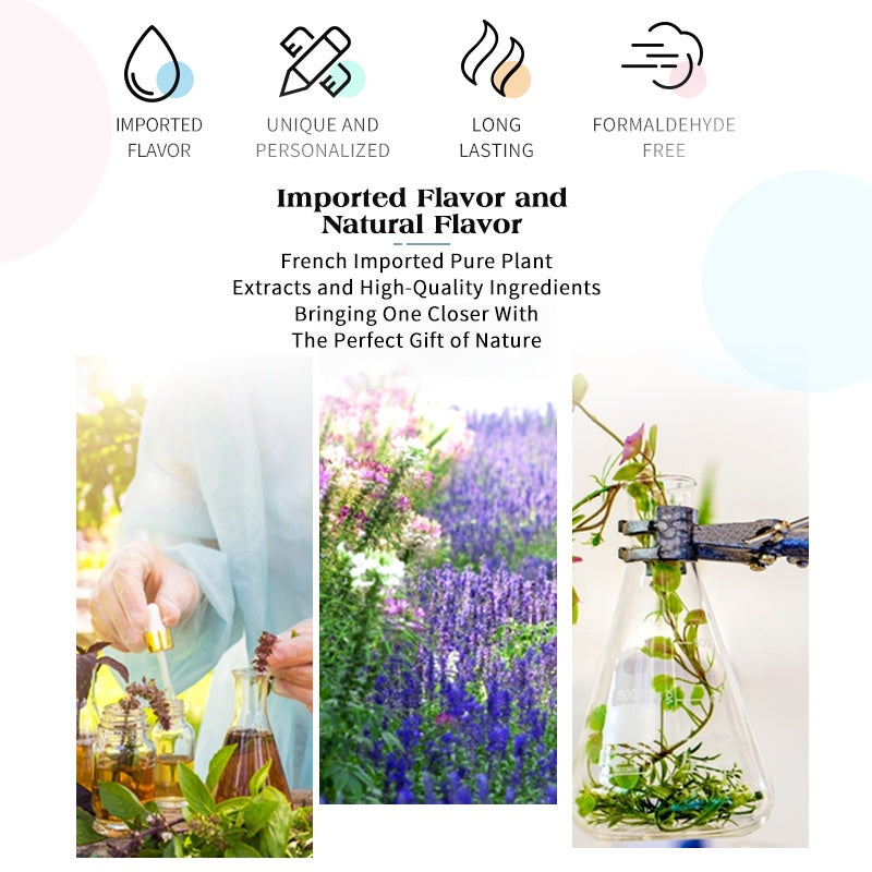 PREMIERE BEAUTE Aromatic Rattan Reed Diffuser oil Aromatherapy Replenisher Pewangi Pengharum Ruangan