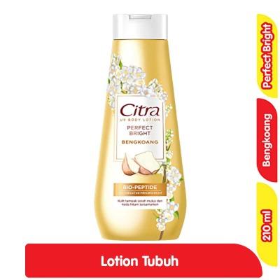 Citra Perfect Bright Body Lotion – Bengkoang Extract 210ml | Natural Radiance with UV Protection | Brightening Body Moisturizer for Soft, Glowing Skin