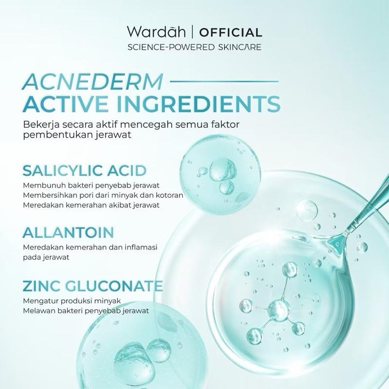 Wardah GlowGuard Acne-Fighting Foaming Cleanser with Salicylic Acid & Zinc – Low pH Formula