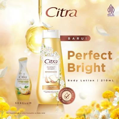 Citra Perfect Bright Body Lotion – Bengkoang Extract 210ml | Natural Radiance with UV Protection | Brightening Body Moisturizer for Soft, Glowing Skin