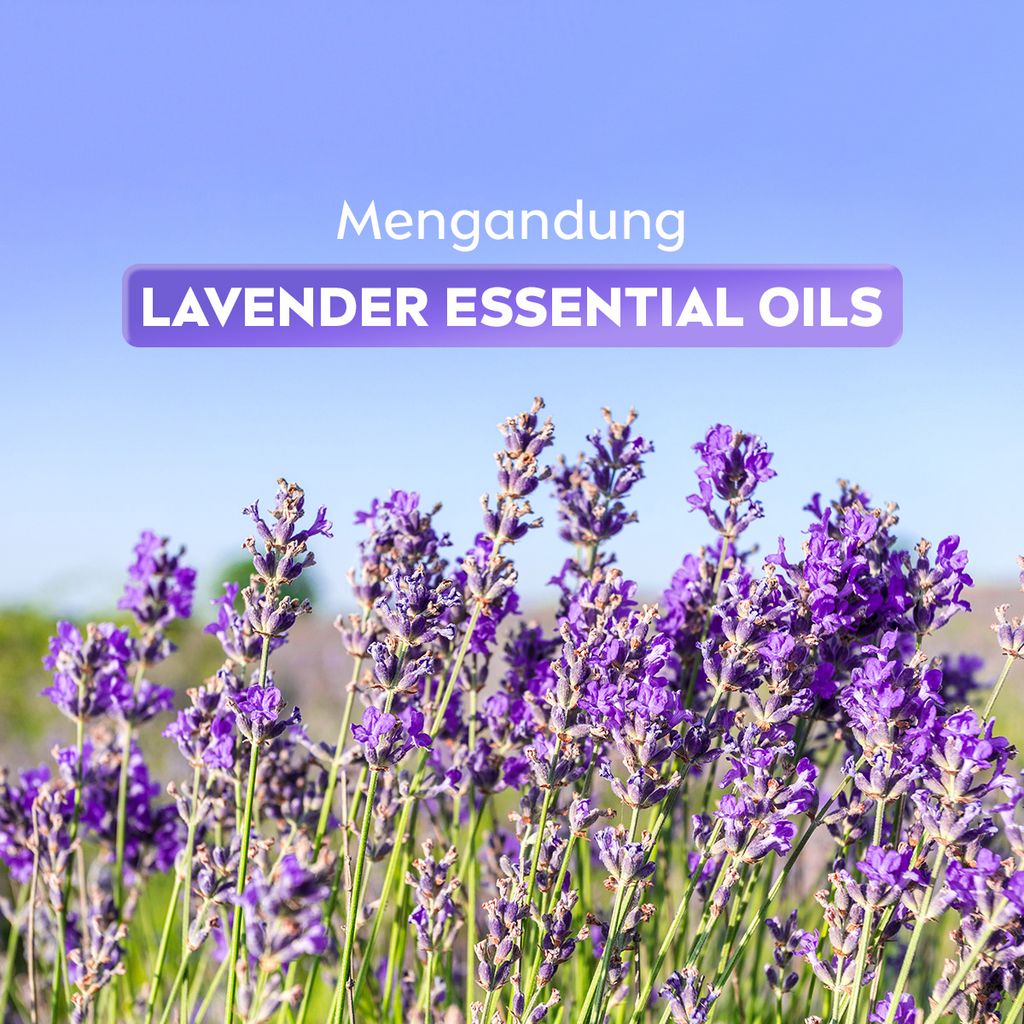 NIVEA Lip Balm Overnight Care 4.8gr - Pelembap bibir malam hari melembabkan plumpy kering pecah-pecah tahan lama melindungi bibir natural intensif lembap tidak lengket tidak berminyak glossy - Lavender Essential Oil, Shea Butter