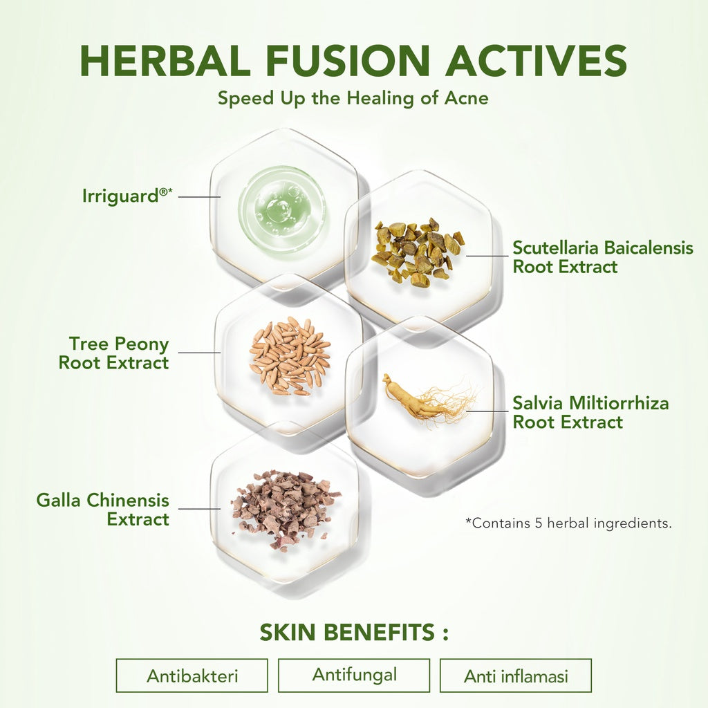 YOU Acneplus 4in1 Bundle Exfoliating Toner, Acne Spot, Serum, Hy! Amino+ 1.5% BHA Fight Acne Gel Cleanser Serum Jerawat Obat Totol Jerawat Paket Skincare