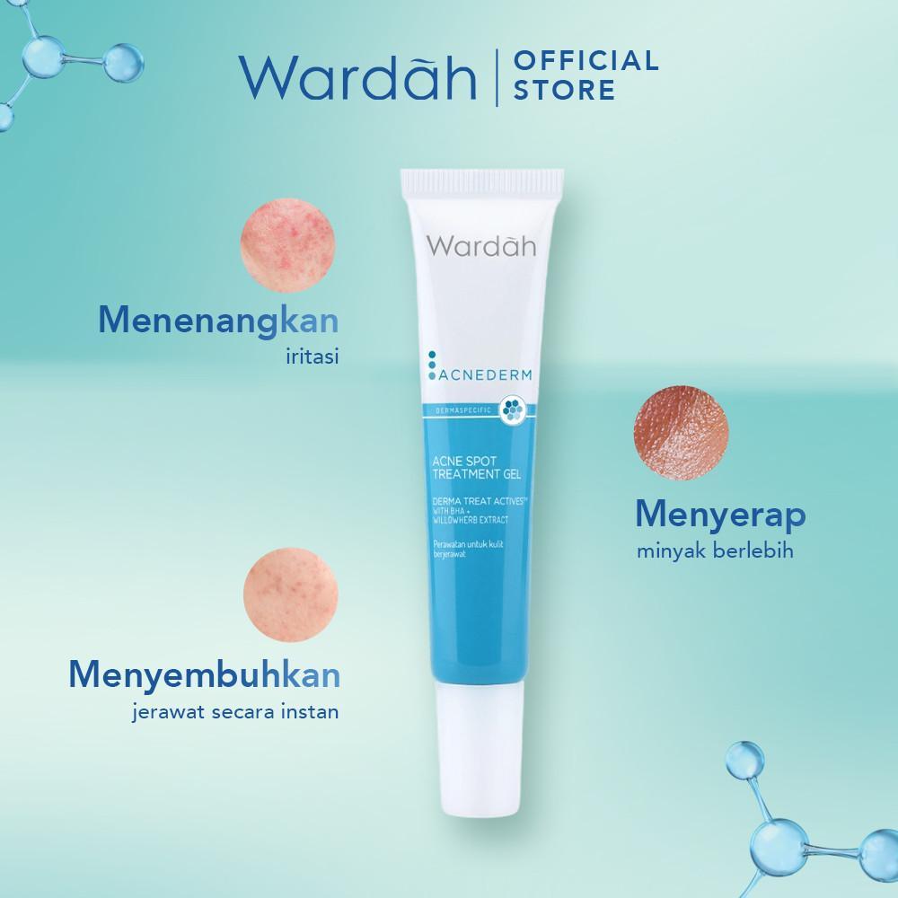 WARDAH – Acnederm Acne Spot Treatment Gel 15ml | BHA + Willowherb | Fades Acne Marks