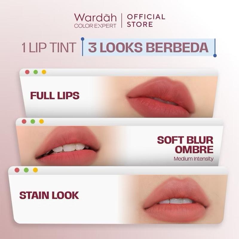 Wardah Airbrush Lip Tint - Soft Blur Finish for Dark Lips - 24H Stay