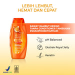 PAKET ISI 2 - Makarizo Hair Energy Fibertherapy Conditioning Shampoo Royal Jelly 170mL