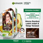 Garnier Color Naturals Hair Color - 5.32 Coklat Caramel (Cat / Pewarna Rambut Permanent) - Twinpack