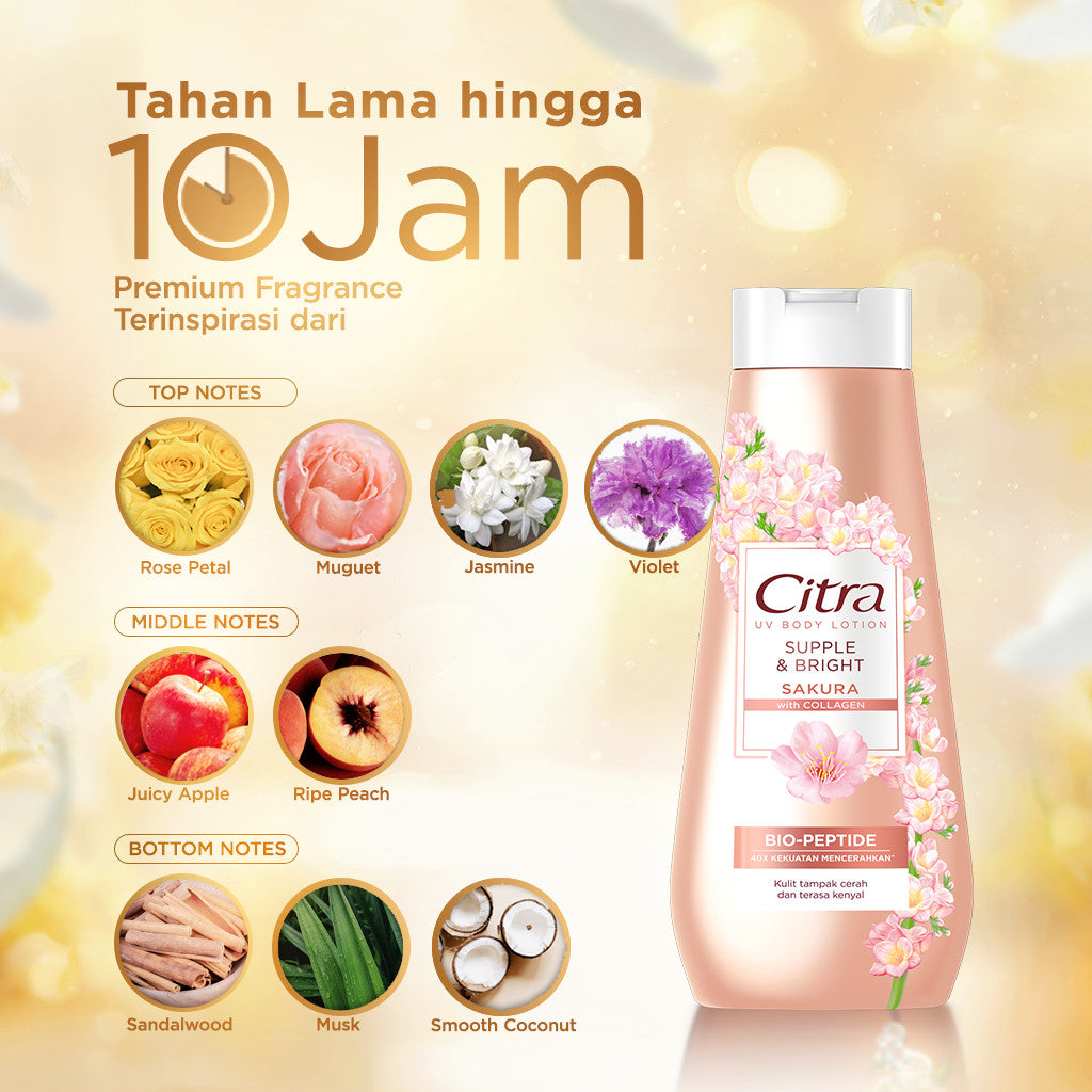 Citra UV Body Lotion Supple & Bright Sakura 210ML Triplepack- Mencerahkan dan Kenyal