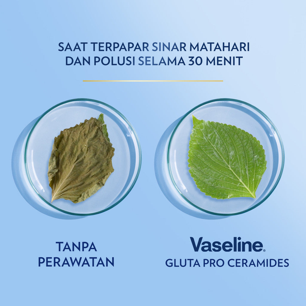 Vaseline HAND BODY LOTION Aloe Vera Lotion Aloe Soothe Kulit Lembap 24jam 400ml 1pcs