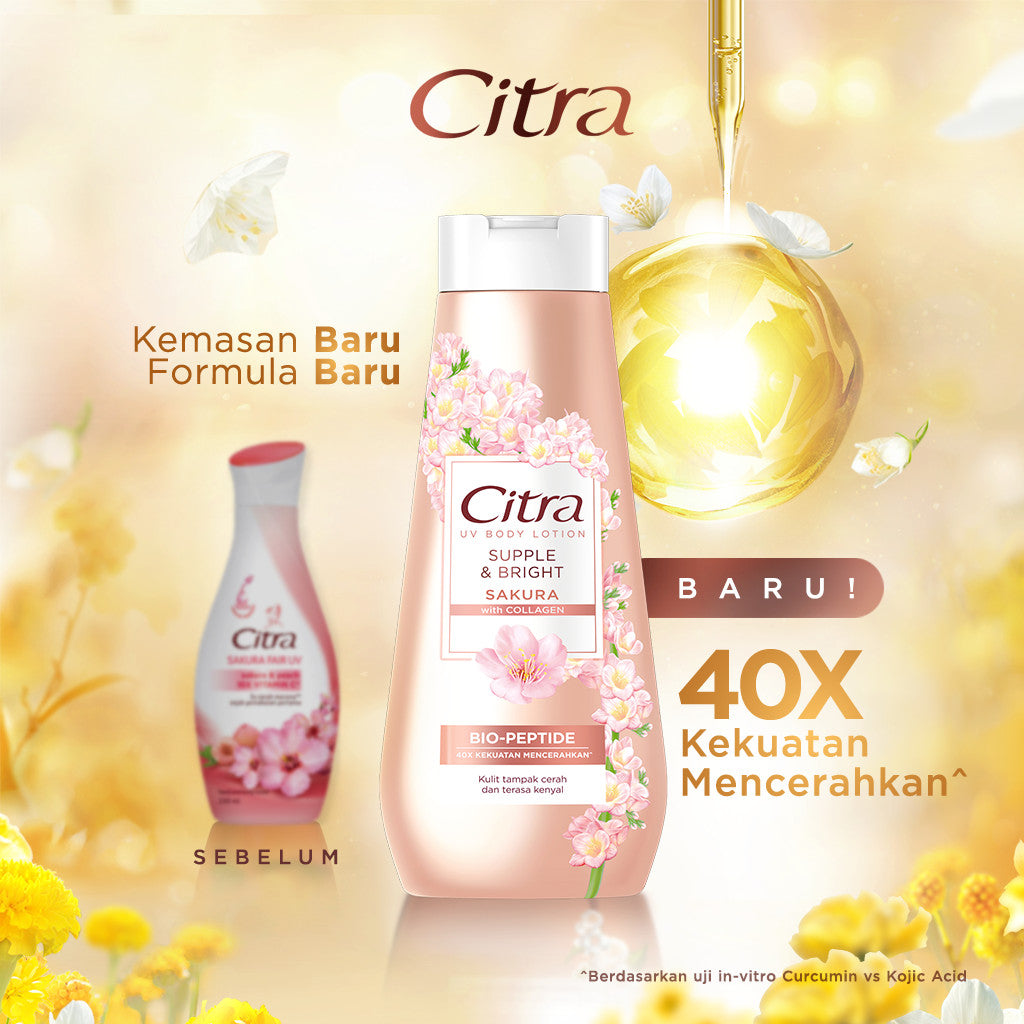 Citra UV Body Lotion Supple & Bright Sakura 210ML Triplepack- Mencerahkan dan Kenyal