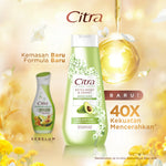 Citra UV Body Lotion Extra Moist & Bright Avocado 210ML Triplepack- Mencerahkan dan Melembapkan
