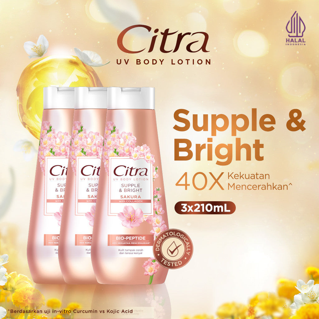 Citra UV Body Lotion Supple & Bright Sakura 210ML Triplepack- Mencerahkan dan Kenyal
