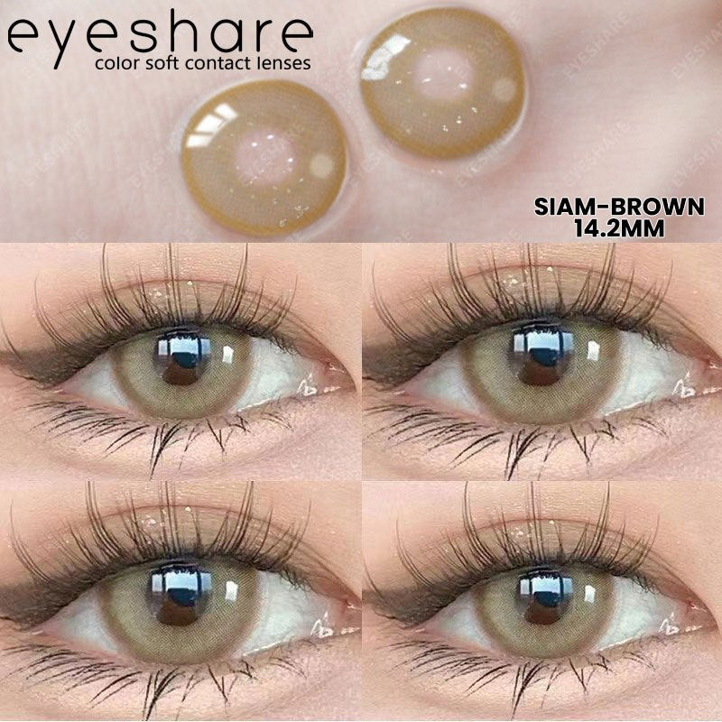 Eyeshare Monica Black Softlens 14.5mm