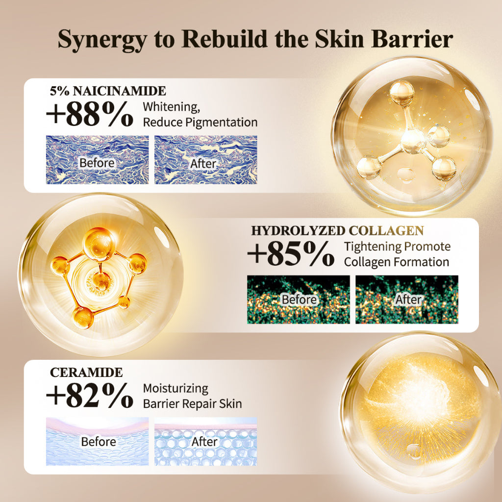 PREMIERE BEAUTE DERMA CARE ELASTIN COLLAGEN ANTI-AGING Repair Cream Pudding 50G Whitening Rejuvenat Barrier NAICINAMIDE CERAMIDE Firm Plump Meratakan dan Mencerahkan Kulit Wajah dengan Instant