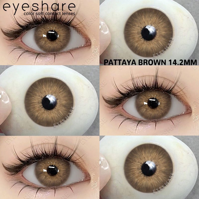 Eyeshare Monica Black Softlens 14.5mm