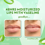Vaseline Lip Therapy Balm Stick Aloe Vera 4.8gr - Pelembab Bibir - Lip Balm