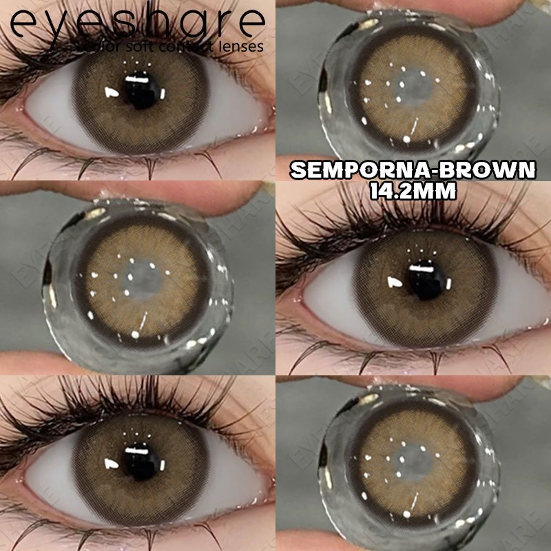 Eyeshare (COD) SEMPORMA BROWN 14.2mm Softlens Normal