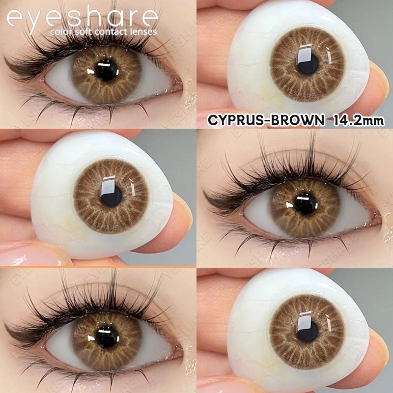 Eyeshare (COD) SEMPORMA BROWN 14.2mm Softlens Normal