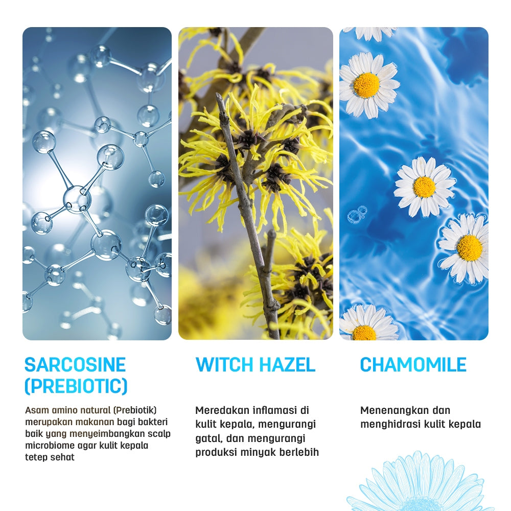 ERHAIR Scalperfect Daily Balancing Shampoo 250mL -  Shampo Anti Lepek, Gatal dan Bermiyak