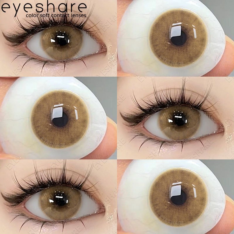 Eyeshare (COD) SEMPORMA BROWN 14.2mm Softlens Normal