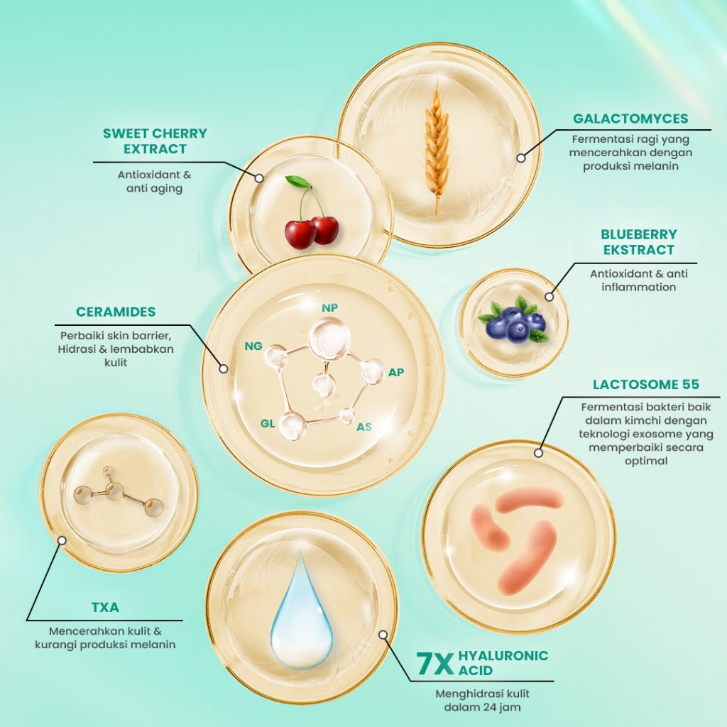 Hanasui Ceramide Probiotics Peeling Gel - Eksfoliasi Gel Wajah Perbaiki Skin Barrier Mencerahkan dan Angkat Sel Kulit Mati Komedo