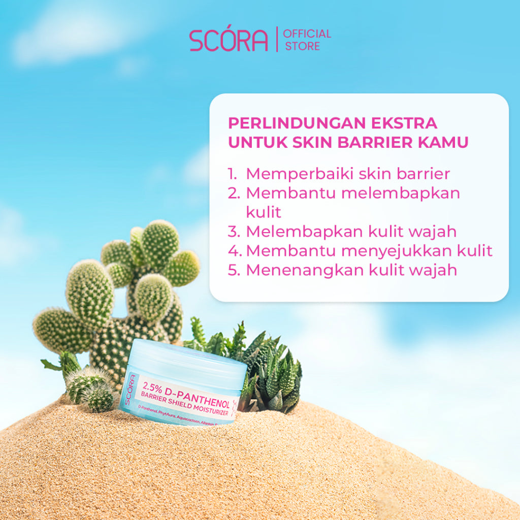 Day & Night Care Set: SCORA Bright Me Up Sunscreen 40 Gr + SCORA Sheer Glow Tone Up Cream 30 mL + 2,5% D-PANTHENOL BARRIER SHIELD MOISTURIZER 40ml  + SCORA D-Panthenol Gentle Low pH Cleanser 100ml  [BUNDLING 2 PCS]