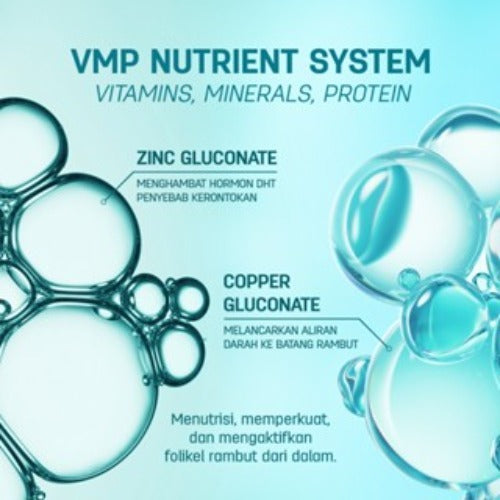 ERHAIR Bundle Hairgrow Shampoo 100ml & Tonic 60ml - Sampo & Tonik Anti Rambut Rontok