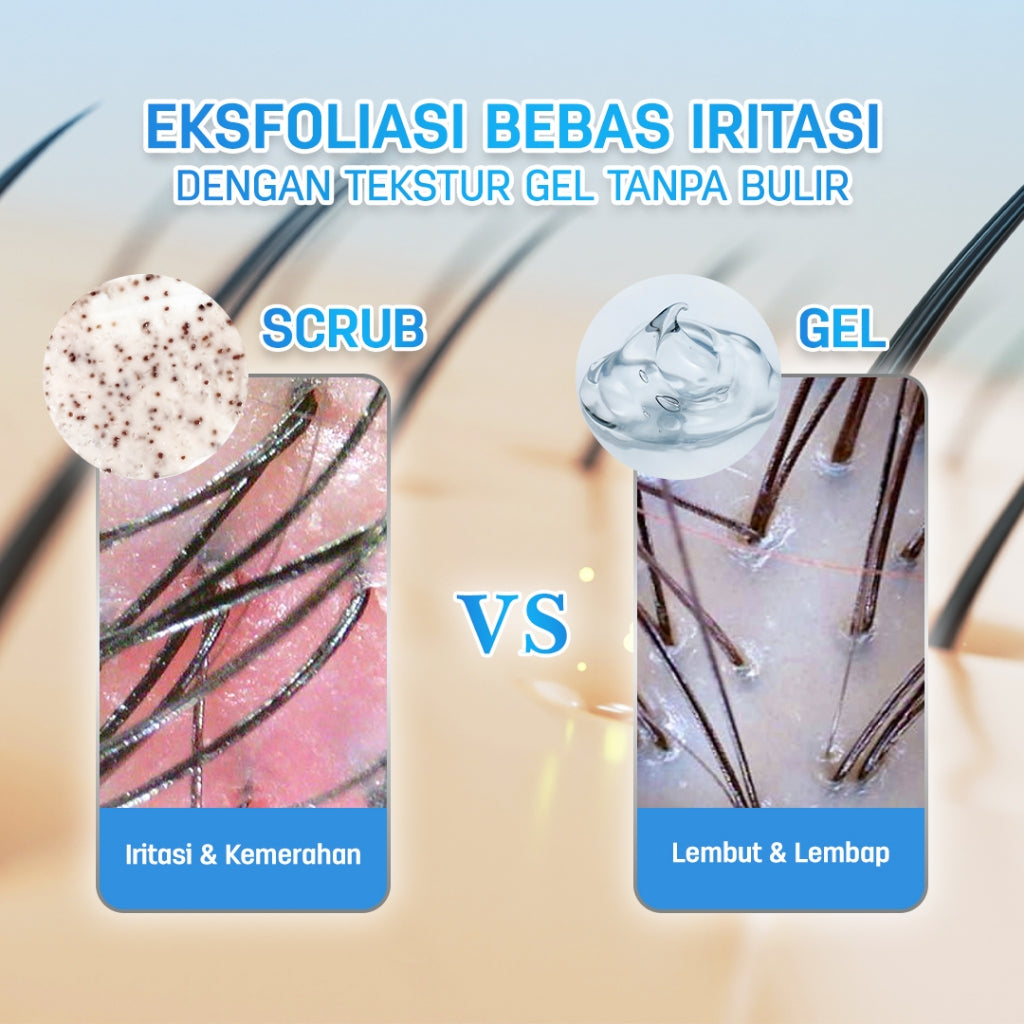 [GEL ANTI KETOMBE] ERHAIR Scalperfect Exfoliating Gel 65gr - Gel Eksfoliasi kulit kepala Anti Ketombe dan Seboroik | 2% Salicylic Acid