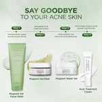 ACNAWAY 2PCS Advanced Mugwort Gel Mask – Face Mask Gel Masker Wajah untuk Kulit Berjerawat | Mencerahkan, Menghaluskan & Membersihkan Pori | Anti Kusam, Komedo & Minyak | Acne Skincare Brightening & Pore Care Masker Komedo Sleeping Mask Masker