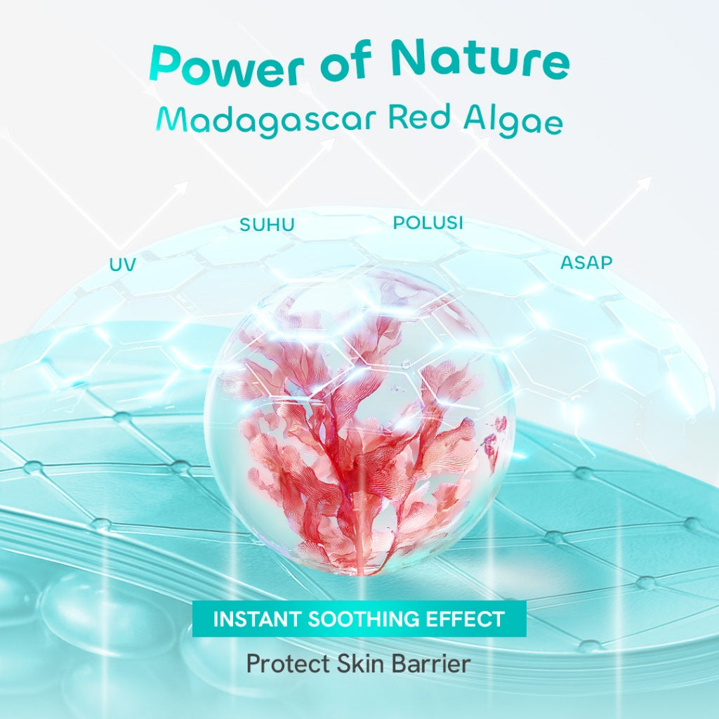 【 NEW 】HANASUI Micellar Water Lembut untuk Kulit Sensitif 0% alcohol - Micellar Mencerahkan Vitamin C - Micellar Korean Heartleaf