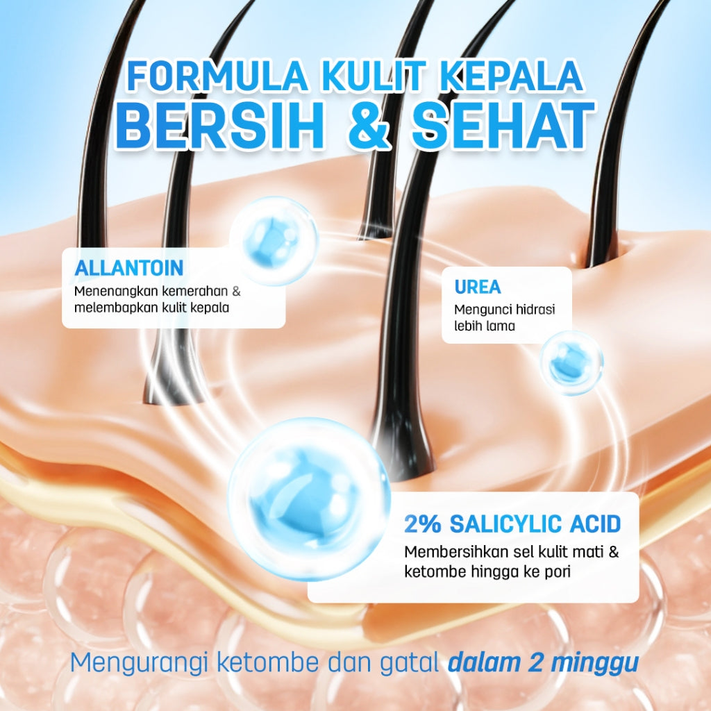 ERHAIR Scalperfect BHA & Allantoin Scalp Exfoliating Gel 30g - Gel eksfoliasi kulit kepala Anti Ketombe | 2% Salicylic Acid