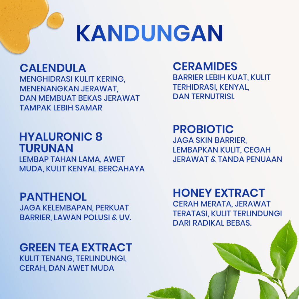 Cleora 4X Hyalu Hydrating Moisturizer - Pelembab Cream Wajah Untuk Memperbaiki Skin Barier Menenangkan & Menghidrasi Kulit Kering Kusam Berminyak