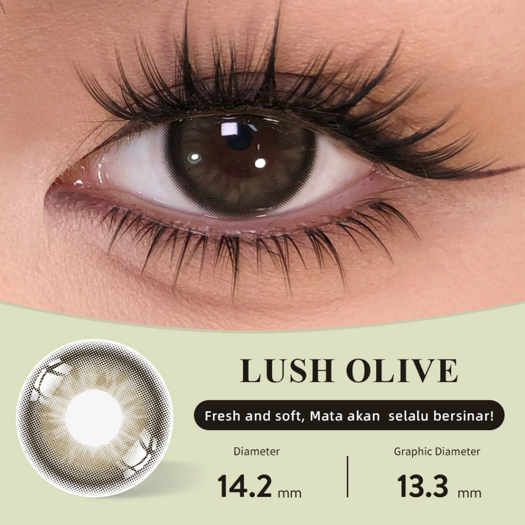 [Fuji Favorite] Lilmoon Softlens Lush Olive – Softlens Minus 0 s/d -8.50, Warna Natural Kualitas Jepang