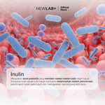 NEWLAB Mini Box Fitlogy Apple 30B Drink | Minuman Serbuk Rasa Apple Mint 7 Sachet