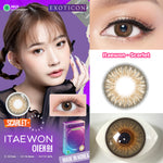 Exoticon Softlens Itaewon Series Scarlet | Paloma | Nebulas | Royal | Mosaic | Soflens Korea
