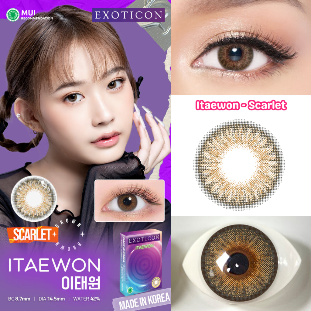 Exoticon Softlens Itaewon Series Scarlet | Paloma | Nebulas | Royal | Mosaic | Soflens Korea