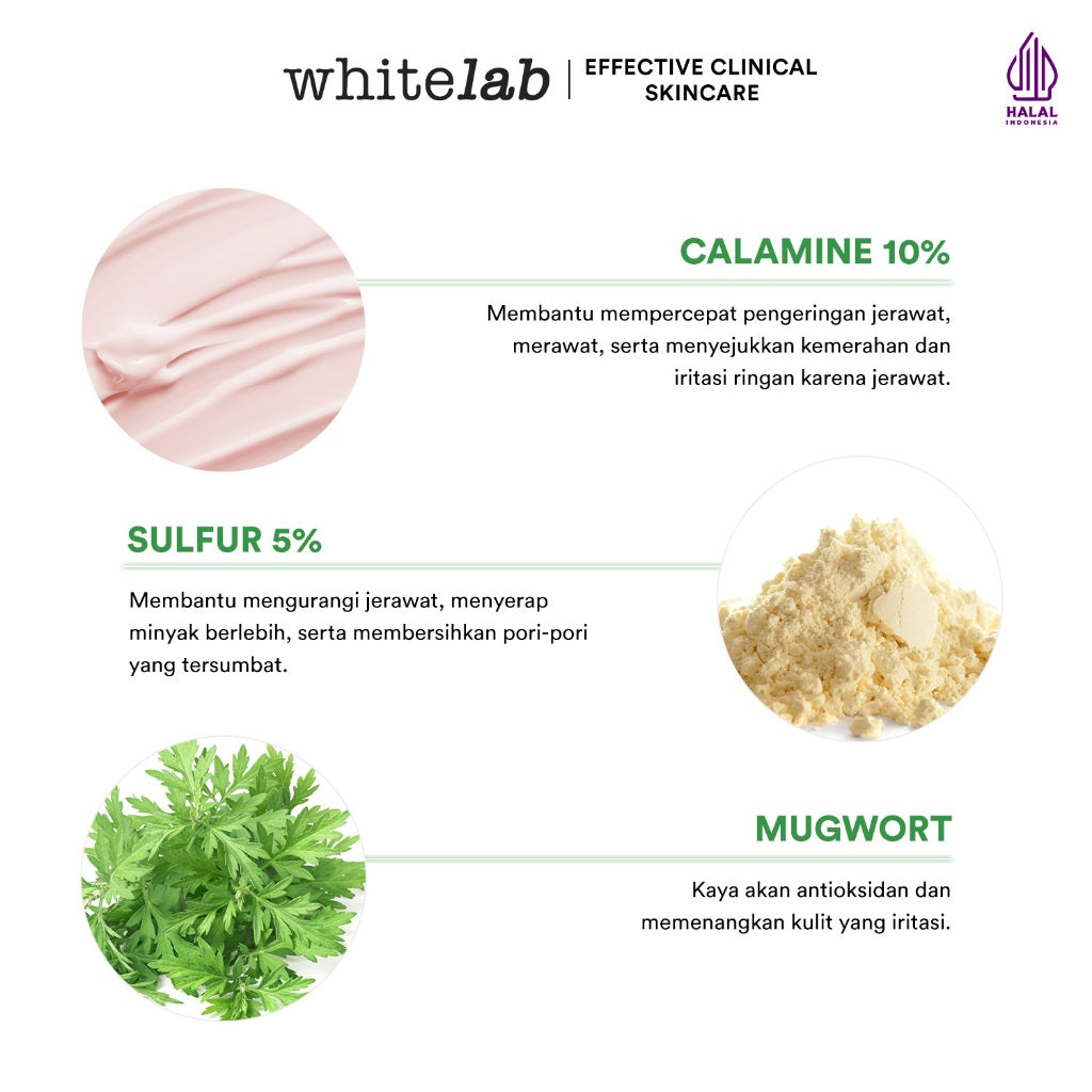 Whitelab Acne Cream - Krim Totol Atasi Jerawat dalam 2 Hari dengan Sulfur, Calamine & Mugwort [BPOM]