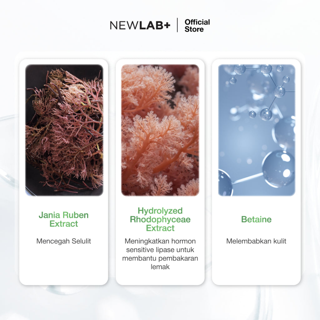 NEWLAB Fitlogy Gel | Krim untuk Perut, Paha dan Betis | Cream Body 30ml