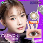 Exoticon Softlens Itaewon Series Scarlet | Paloma | Nebulas | Royal | Mosaic | Soflens Korea