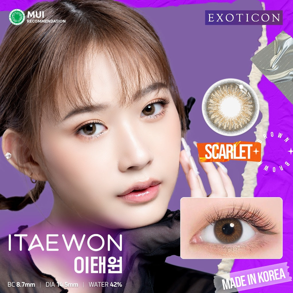 Exoticon Softlens Itaewon Series Scarlet | Paloma | Nebulas | Royal | Mosaic | Soflens Korea
