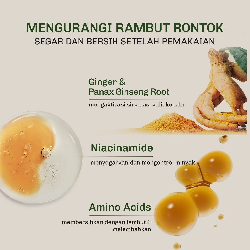 [3IN1 BUNDLE] Lavojoy Hold Me Tight Pro Shampoo + Conditioner + Scalp Essence Spring Wonder | Perawatan Intensif untuk Rambut Rontok | Perawatan Rambut Rontok | Ginseng Ginger Caffeine | Hair Care Growth | Citric Acid