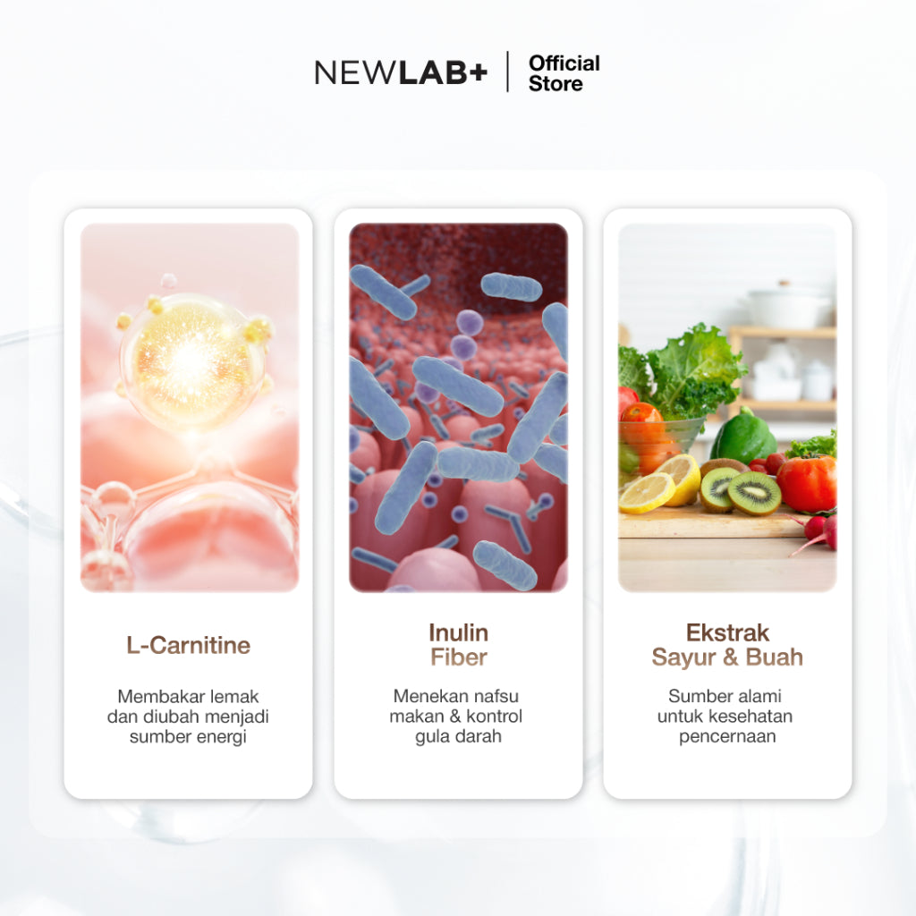 NEWLAB Fitlogy Coffee | Kopi Sehat untuk Kontrol Berat Badan & Gut Health | L-Karnitin & Garcinia Pelangsing Badan  15 Sachet